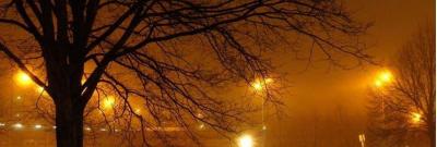 Lampes à vapeur de sodium à haute intensité : Éclairage extérieur efficace