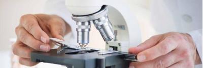 Specialized Professional Lighting Bulbs - Illuminate with Precision